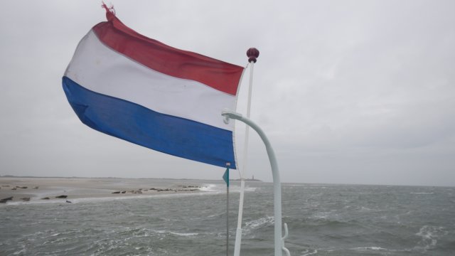 HWK Texel 2015 071.jpg